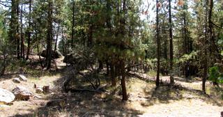 2.34 acres of land for sale in Klamath County, Oregon - KFFE Unit 1 B15 L3, photo 12 of 15