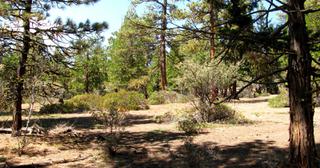 2.34 acres of land for sale in Klamath County, Oregon - KFFE Unit 1 B15 L3, photo 13 of 15