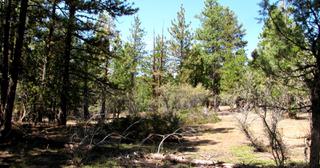 2.34 acres of land for sale in Klamath County, Oregon - KFFE Unit 1 B15 L3, photo 14 of 15