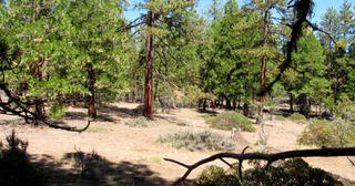 2.34 acres of land for sale in Klamath County, Oregon - KFFE Unit 1 B15 L3, photo 15 of 15