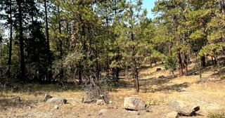 2.34 acres of land for sale in Klamath County, Oregon - KFFE Unit 1 B15 L3, photo 5 of 15