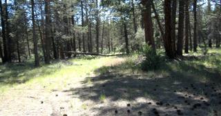 2.3 acres of land for sale in Klamath County, Oregon - KFFE Unit 2 B33 L26, photo 4 of 10