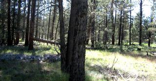 2.3 acres of land for sale in Klamath County, Oregon - KFFE Unit 2 B33 L26, photo 5 of 10