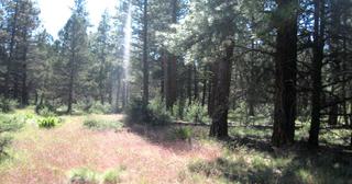 2.3 acres of land for sale in Klamath County, Oregon - KFFE Unit 2 B33 L26, photo 6 of 10