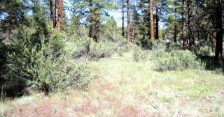 2.3 acres of land for sale in Klamath County, Oregon - KFFE Unit 2 B33 L26, photo 7 of 10