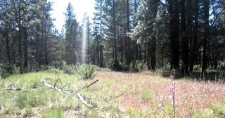 2.3 acres of land for sale in Klamath County, Oregon - KFFE Unit 2 B33 L26, photo 8 of 10