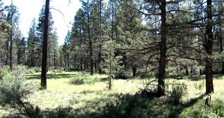 2.3 acres of land for sale in Klamath County, Oregon - KFFE Unit 2 B33 L26, photo 10 of 10