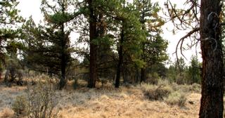 2.22 acres of land for sale in Klamath County, Oregon - KFFE Unit 2 B36 L26, photo 15 of 17