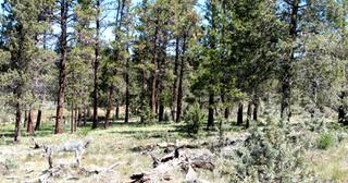 2.38 acres of land for sale in Klamath County, Oregon - Unit 2 B47 L8, photo 1 of 6