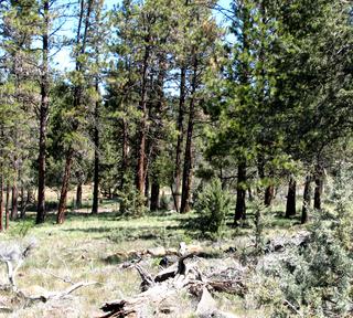 2.38 acres of land for sale in Klamath County, Oregon - Unit 2 B47 L8