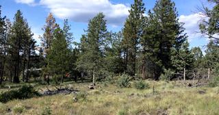 2.38 acres of land for sale in Klamath County, Oregon - Unit 2 B47 L8, photo 3 of 6