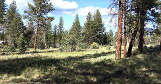 2.38 acres of land for sale in Klamath County, Oregon - Unit 2 B47 L8, photo 2 of 6