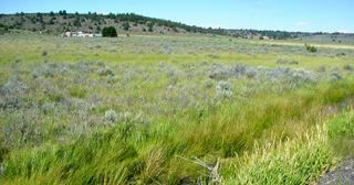1.53 acres of land for sale in Klamath County, Oregon - Nimrod B16 L5, photo 1 of 11