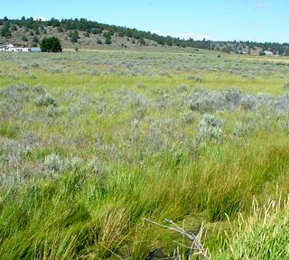 1.53 acres of land for sale in Klamath County, Oregon - Nimrod B16 L5