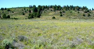 1.53 acres of land for sale in Klamath County, Oregon - Nimrod B16 L5, photo 2 of 11