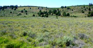 1.53 acres of land for sale in Klamath County, Oregon - Nimrod B16 L5, photo 3 of 11