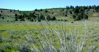 1.53 acres of land for sale in Klamath County, Oregon - Nimrod B16 L5, photo 7 of 11