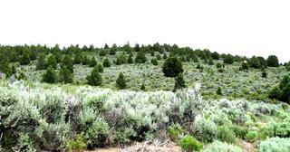 1.84 acres of land for sale in Klamath County, Oregon - Nimrod B19 L8, photo 1 of 9