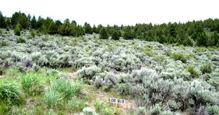 1.84 acres of land for sale in Klamath County, Oregon - Nimrod B19 L8, photo 2 of 9