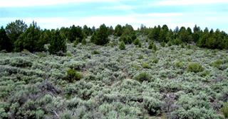 1.84 acres of land for sale in Klamath County, Oregon - Nimrod B19 L8, photo 5 of 9