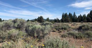 1.48 acres of land for sale in Klamath County, Oregon - Nimrod B31 L98, photo 12 of 12