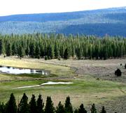 1.62 acres of land for sale in Klamath County, Oregon - Nimrod B32 L79