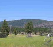 0.3 acres of land for sale in Klamath County, Oregon - Oregon Shores B40 L22