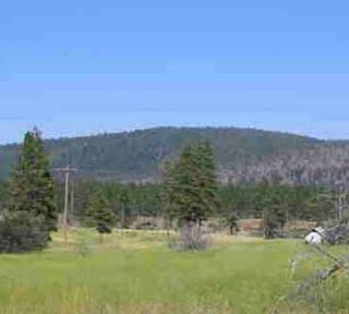 0.3 acres of land for sale in Klamath County, Oregon - Oregon Shores B40 L22