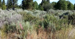 0.3 acres of land for sale in Klamath County, Oregon - Oregon Shores B8 L14, photo 2 of 12