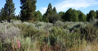 0.3 acres of land for sale in Klamath County, Oregon - Oregon Shores B8 L14, photo 3 of 12