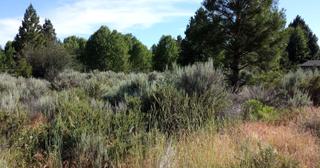 0.3 acres of land for sale in Klamath County, Oregon - Oregon Shores B8 L14, photo 5 of 12