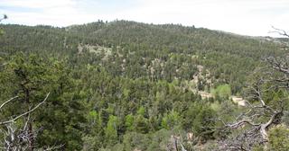 5.25 acres of land for sale in Costilla County, Colorado - SDCR B262 L5912 Unit X-2, photo 7 of 9