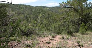 5.25 acres of land for sale in Costilla County, Colorado - SDCR B262 L5912 Unit X-2, photo 8 of 9