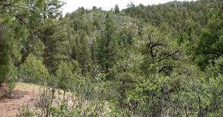 5.25 acres of land for sale in Costilla County, Colorado - SDCR B262 L5912 Unit X-2, photo 9 of 9
