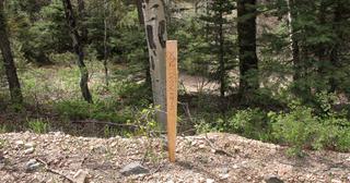 5.25 acres of land for sale in Costilla County, Colorado - SDCR B262 L5912 Unit X-2, photo 3 of 9