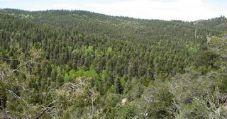5.25 acres of land for sale in Costilla County, Colorado - SDCR B262 L5912 Unit X-2, photo 6 of 9