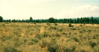 2.56 acres of land for sale in Klamath County, Oregon - SRVA B8 L18, photo 3 of 5