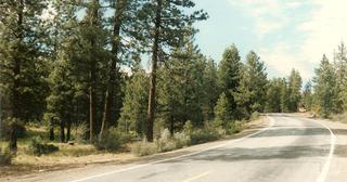 2.56 acres of land for sale in Klamath County, Oregon - SRVA B8 L18, photo 4 of 5