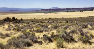 2.56 acres of land for sale in Klamath County, Oregon - SRVA B8 L18, photo 5 of 5