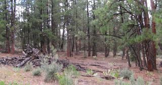 2.64 acres of land for sale in Klamath County, Oregon - SRVA B20 L26, photo 17 of 49