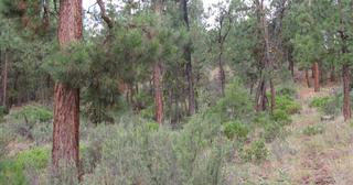2.64 acres of land for sale in Klamath County, Oregon - SRVA B20 L26, photo 15 of 49