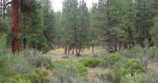 2.64 acres of land for sale in Klamath County, Oregon - SRVA B20 L26, photo 10 of 49