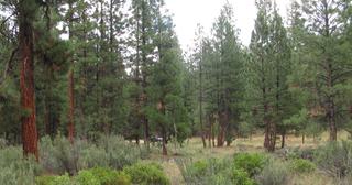 2.64 acres of land for sale in Klamath County, Oregon - SRVA B20 L26, photo 9 of 49
