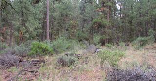 2.64 acres of land for sale in Klamath County, Oregon - SRVA B20 L26, photo 7 of 49