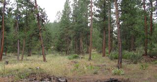 2.64 acres of land for sale in Klamath County, Oregon - SRVA B20 L26, photo 22 of 49