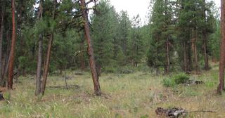 2.64 acres of land for sale in Klamath County, Oregon - SRVA B20 L26, photo 21 of 49