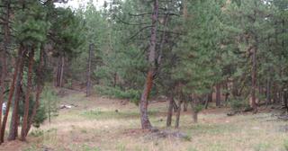 2.64 acres of land for sale in Klamath County, Oregon - SRVA B20 L26, photo 19 of 49