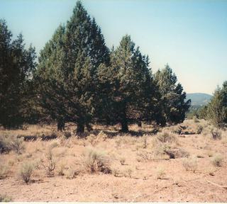 2.64 acres of land for sale in Klamath County, Oregon - SRVA B20 L26--****CALL REGARDING OUR FORECLOSURES****