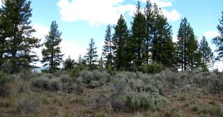 1.47 acres of land for sale in Klamath County, Oregon - SRVA B5 L36, photo 7 of 13
