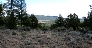 1.47 acres of land for sale in Klamath County, Oregon - SRVA B5 L36, photo 9 of 13